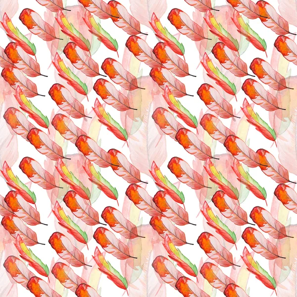 Watercolor pattern with feathers — Stock Photo, Image