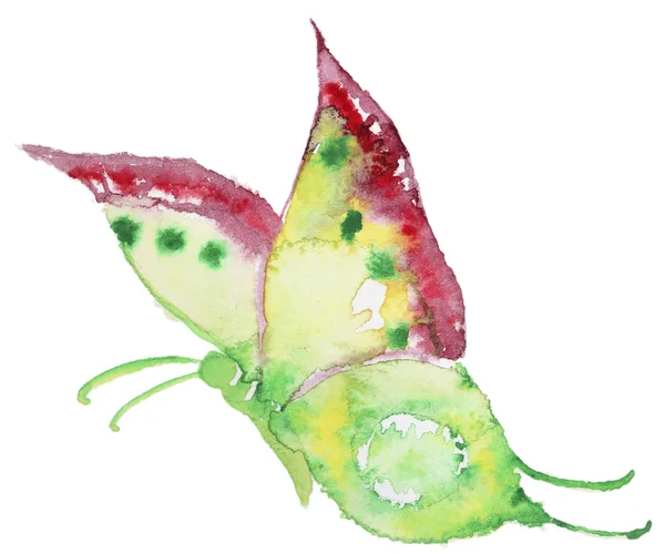추상 수채화 손으로 그려진된 나비 — 스톡 사진