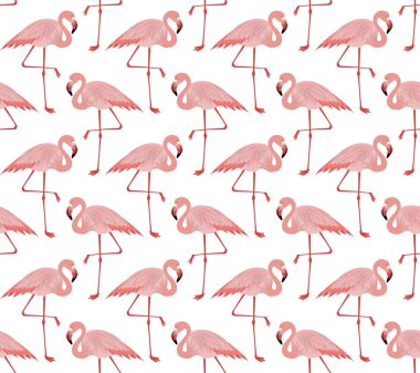 Vektör pembe flamingo seamless modeli
