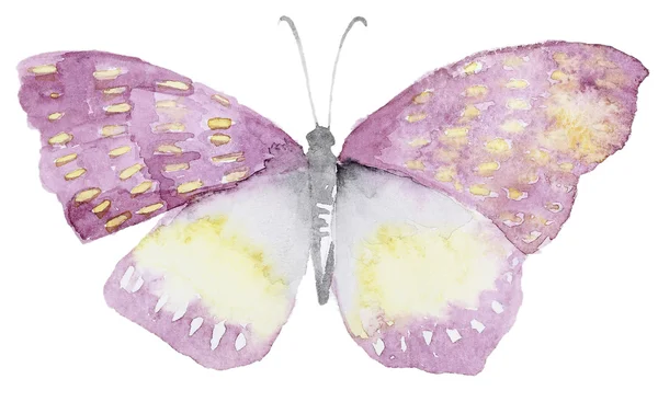 Abstrakte Aquarelle handgezeichneter Schmetterling — Stockfoto