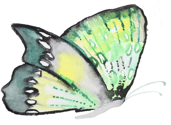 抽象水彩画手绘制的蝴蝶 — 图库照片