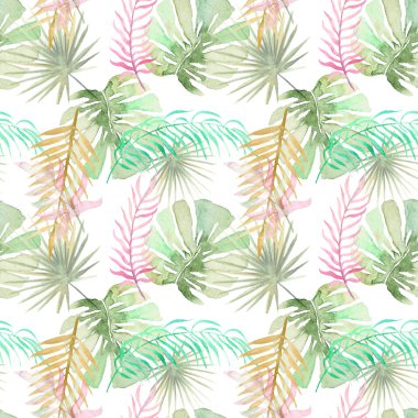 tropik palmiye yaprakları