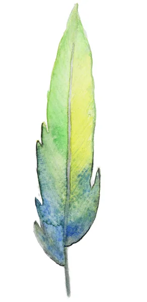 Sulu Boya renkli tüy — Stok fotoğraf