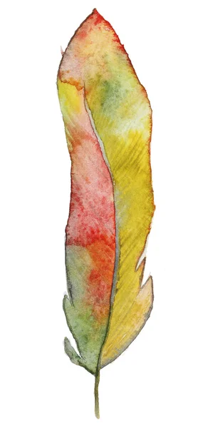 Aquarel kleurrijke veren — Stockfoto