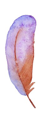 Sulu Boya renkli tüy