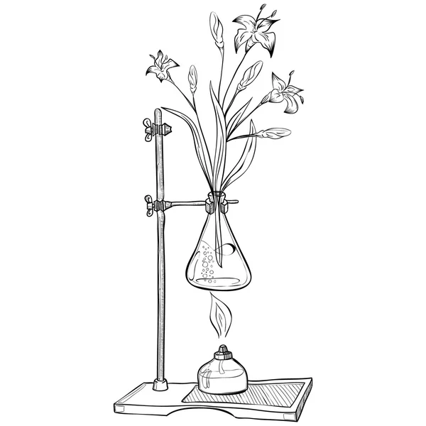 Tarro de laboratorio con flor y quemador — Archivo Imágenes Vectoriales