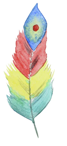 水彩のカラフルな羽毛 — ストック写真