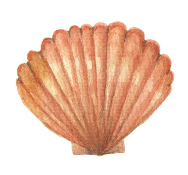 Suluboya kabuk ögesi