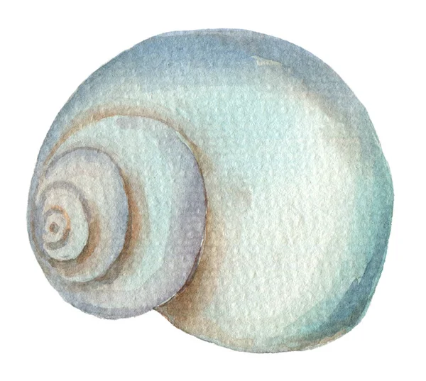 Watercolor shell element — Stock Photo, Image