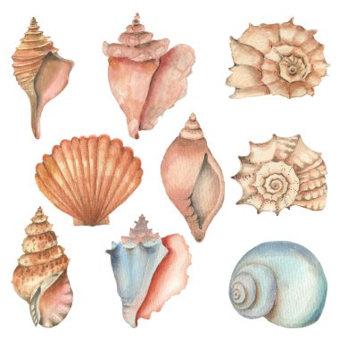 Suluboya kabuğu ayarlandı