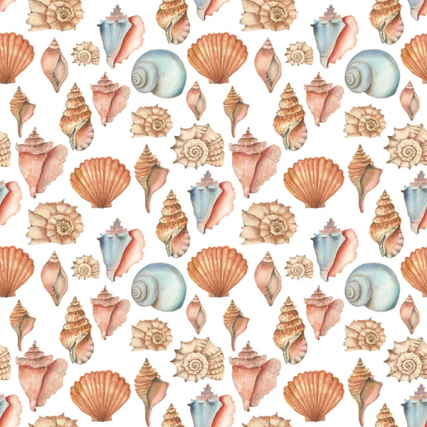 Watercolor shell seamless pattern — Stock Photo, Image