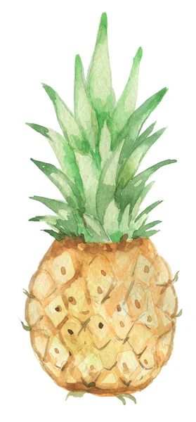 Ananas dessiné à la main — Photo