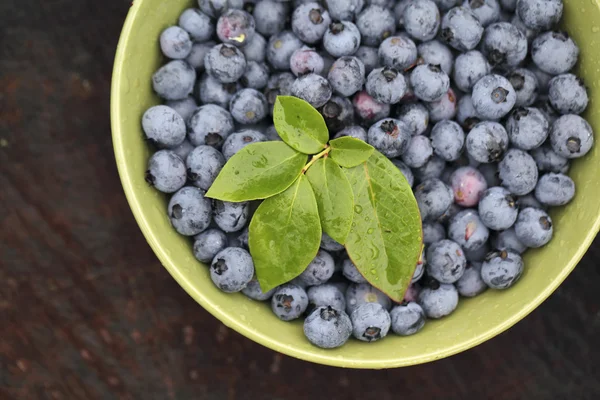 Blueberries — Stock Photo, Image