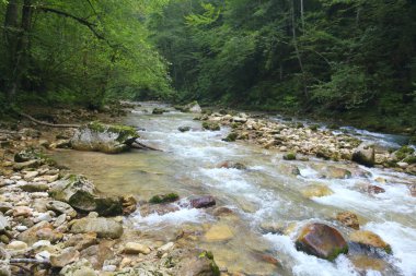 Caucasus Nehri