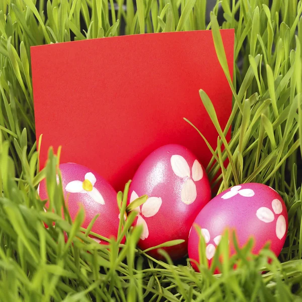 Huevos de Pascua en la hierba —  Fotos de Stock