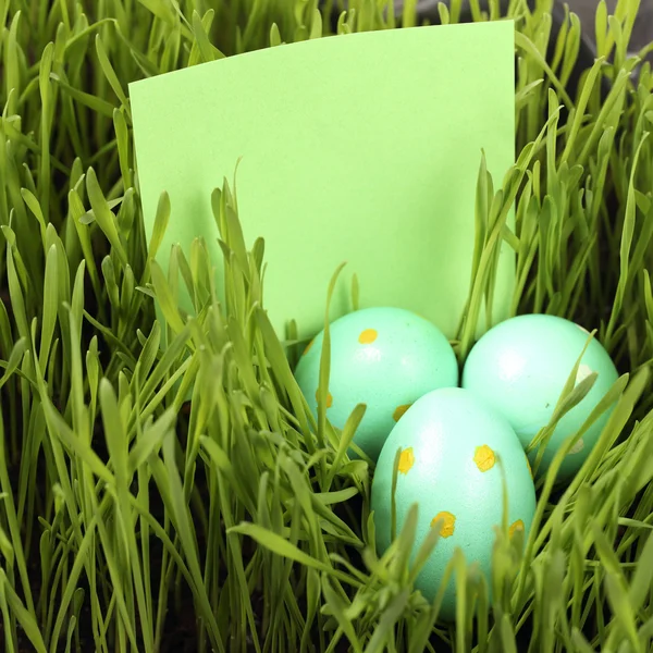 Easter Eggs in Grass — Stock Photo, Image