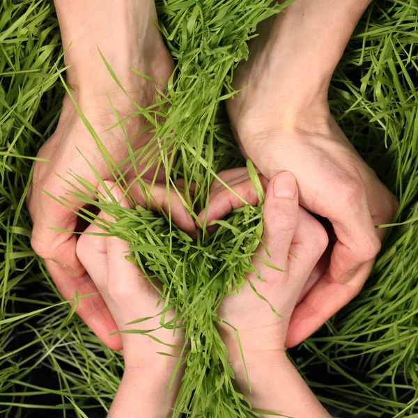 Forma del cuore — Foto Stock