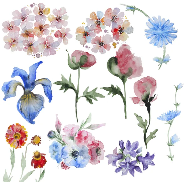 Aantal handbeschilderd aquarel bloemen — Stockfoto