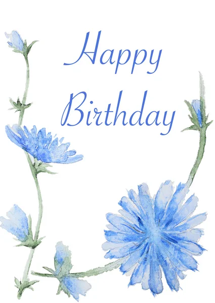 Handpainted watercolor Chicory flowers card — Stock Photo, Image