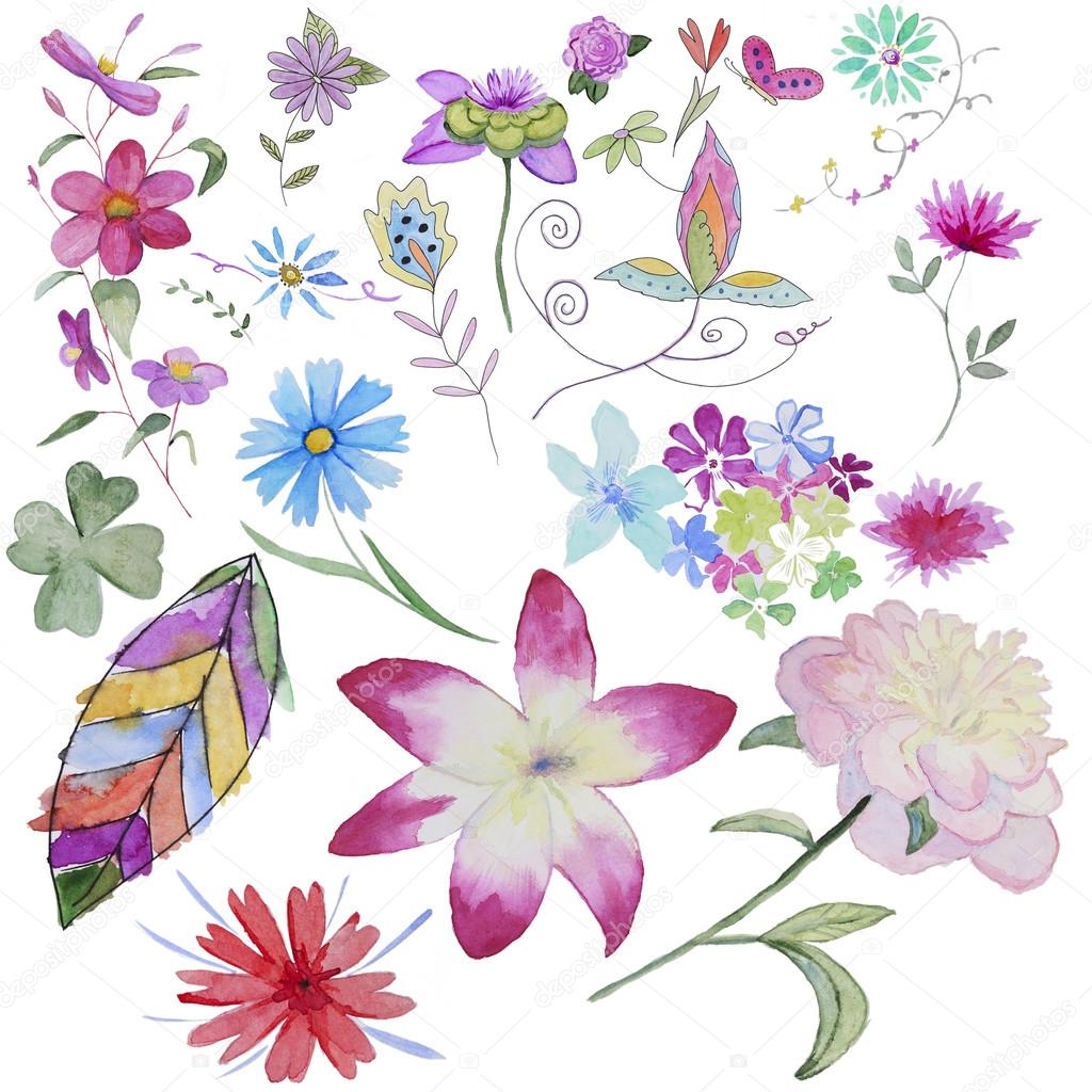 Set of handpainted watercolor flowers
