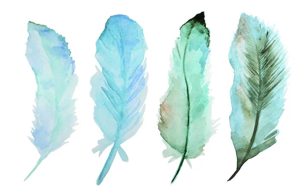 Plumes aquarelle — Photo