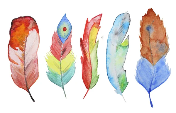 Watercolor feathers — Stock Photo, Image
