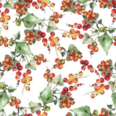 Frenk üzümü desen