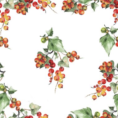 Frenk üzümü desen