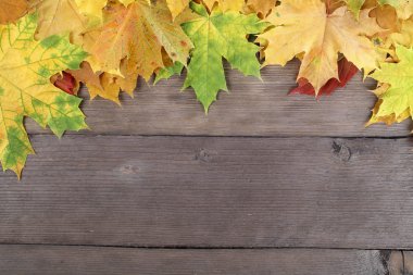 Sonbahar Yaprakları