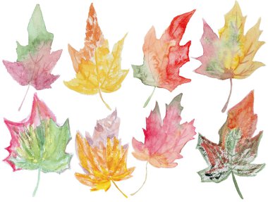 akçaağaç suluboya yaprakları