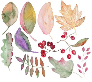 Suluboya sonbahar yaprakları