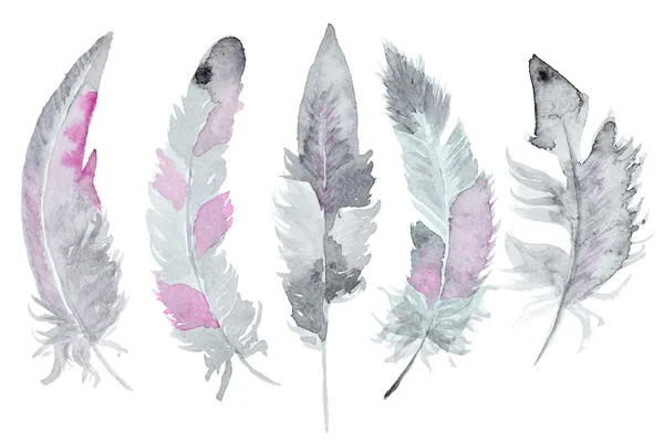 Set de plumes aquarelle — Photo