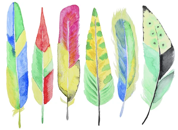 Watercolor feathers set — Stock Photo, Image