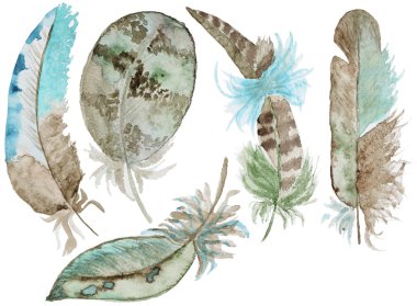 Suluboya tüyler seti