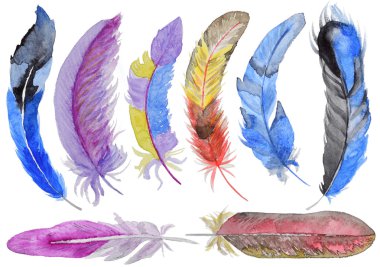 Suluboya tüyler seti