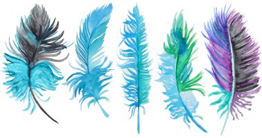 Suluboya tüyler seti