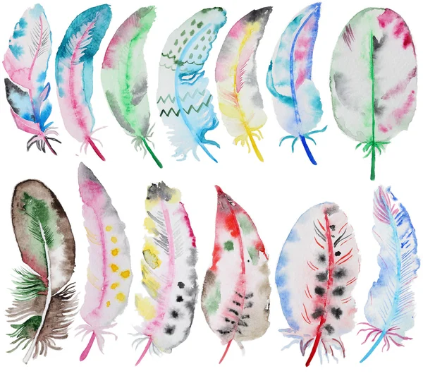 Watercolor feathers set — Stock Photo, Image