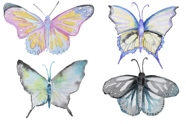 Set of watercolor butterfly — Stock Photo, Image