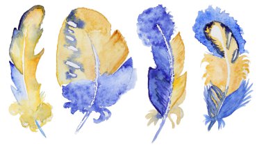 Suluboya tüyler kümesi