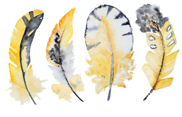 Набор акварельных перьев — стоковое фото
