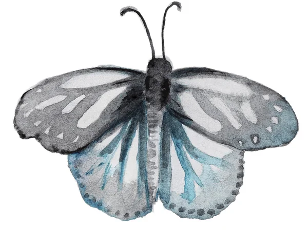 Farfalla ad acquerello su bianco — Foto Stock