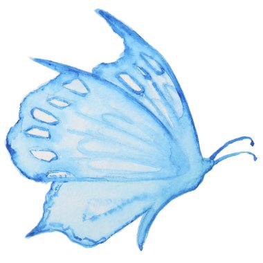 Beyaz üzerine suluboya kelebek