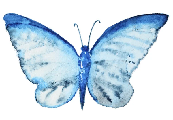 Watercolor butterfly on white — Stock Photo, Image
