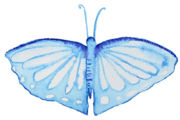 Watercolor butterfly on white — Stock Photo, Image