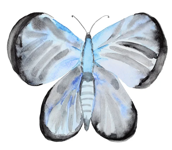 在白色的水彩蝴蝶 — 图库照片
