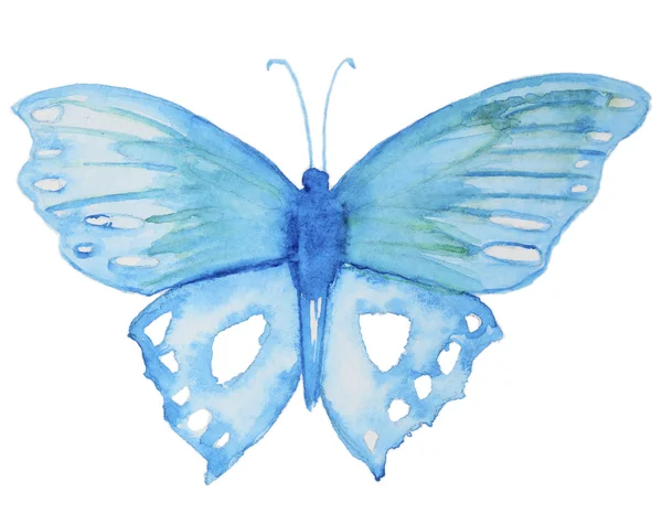 Papillon aquarelle sur blanc — Photo