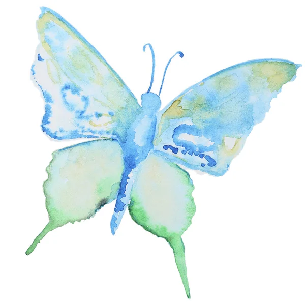 Watercolor butterfly on white — Stock Photo, Image