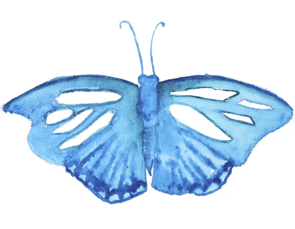 Papillon aquarelle sur blanc — Photo