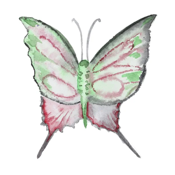 Beyaz üzerine suluboya kelebek — Stok fotoğraf