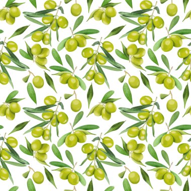 Yeşil zeytin meyveli desenler beyaz arka planda izole edilmiş yapraklarla. Üst görünüm.